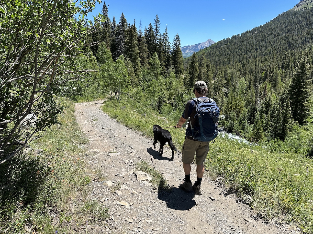 Milo & Miles of Hiking
