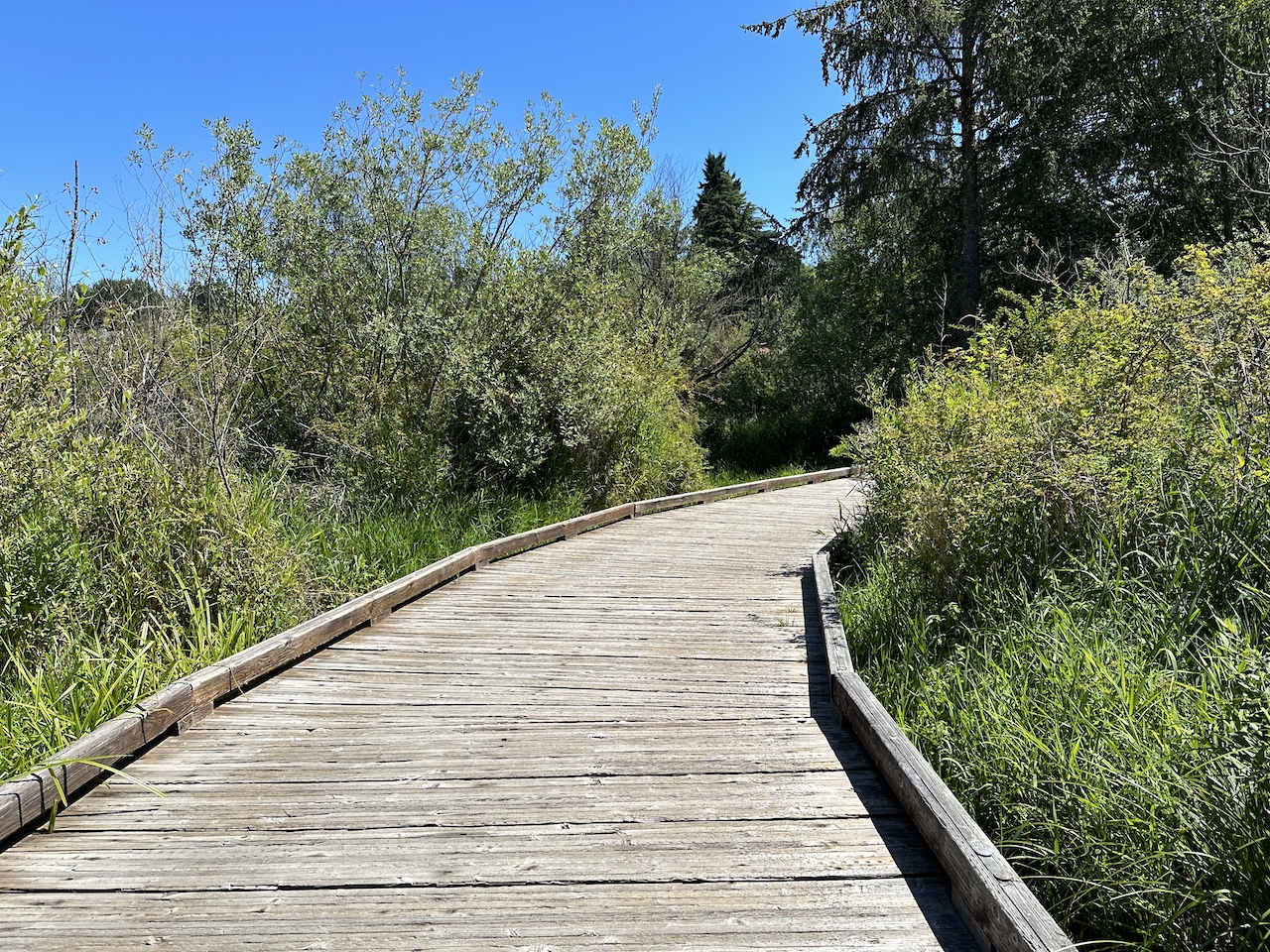 Visiting Seattle Family