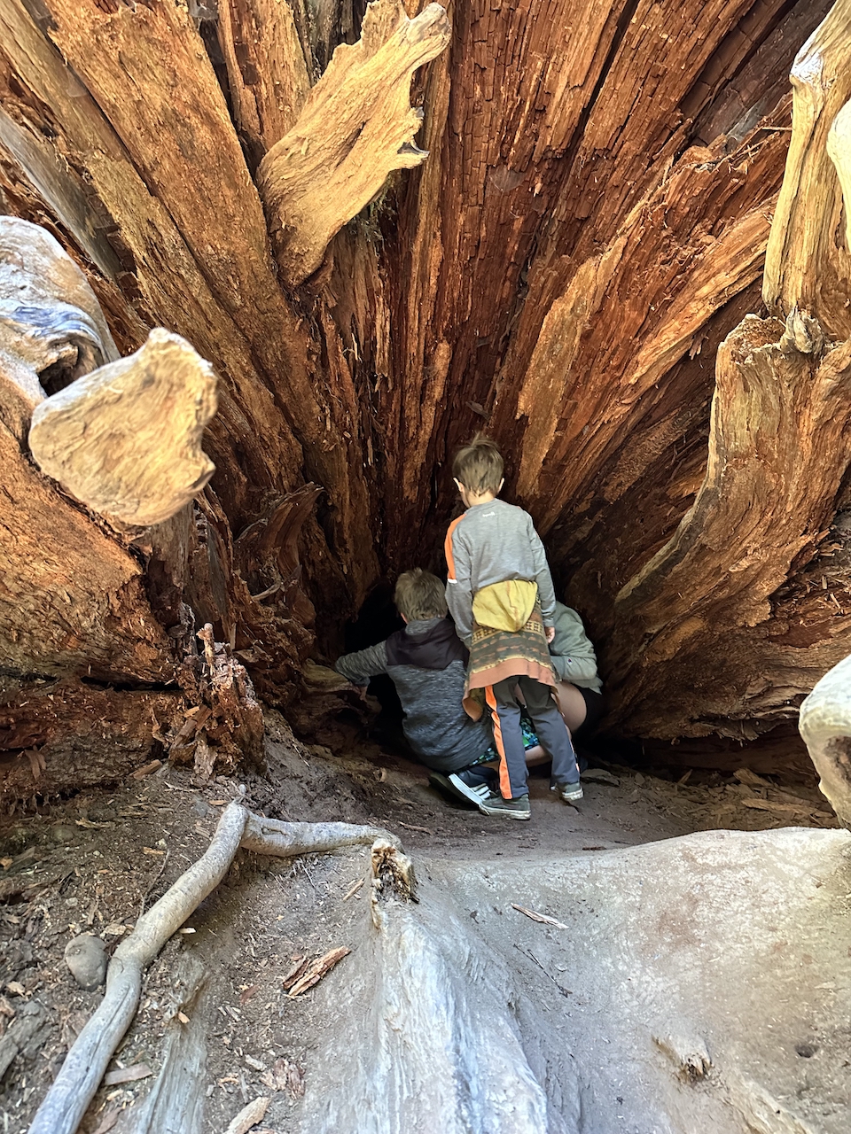 Walking The Staircase