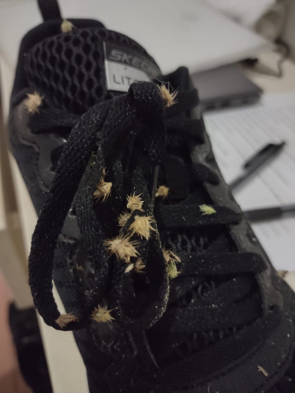 Hua Hin, We’re Here!