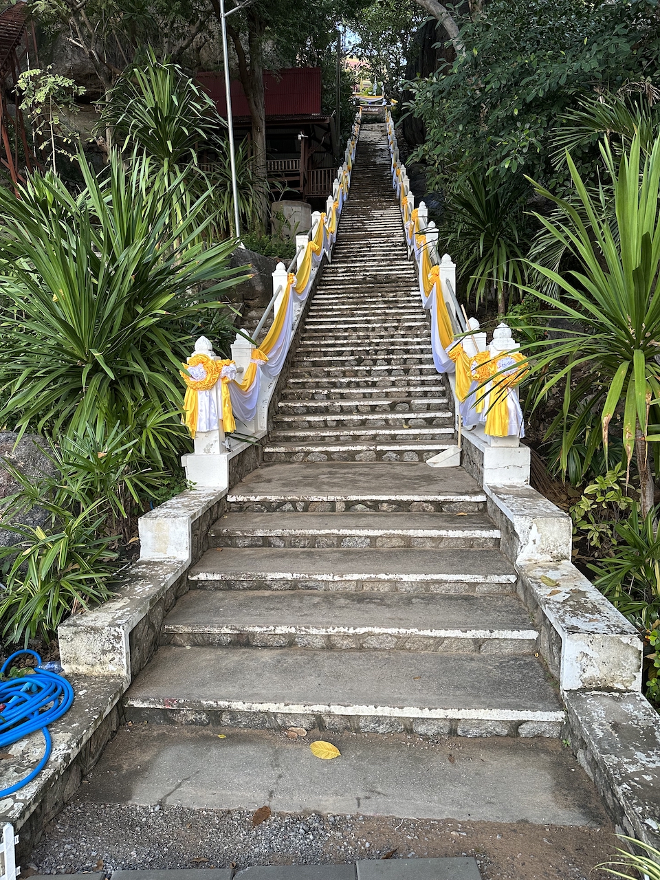 Listening to My Body