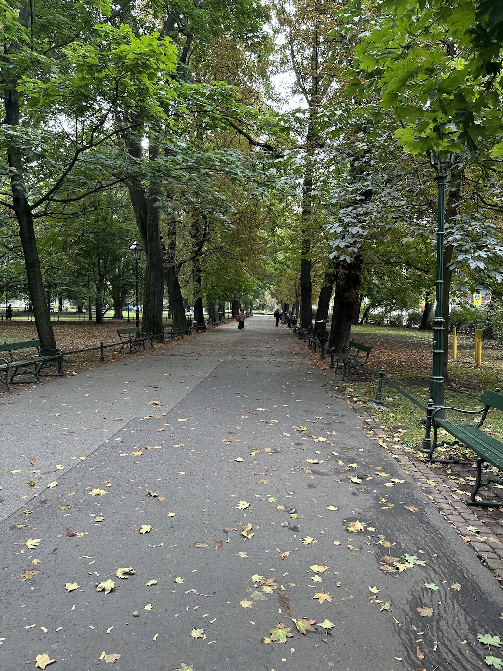 Walk Before Rain